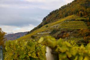 Paesaggio naturale nelle vicinanze dell'appartamento