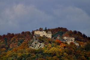 Paesaggio naturale nelle vicinanze dell'appartamento