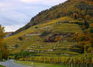 Paesaggio naturale nelle vicinanze dell'appartamento