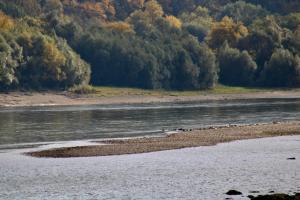 Paesaggio naturale nelle vicinanze dell'appartamento