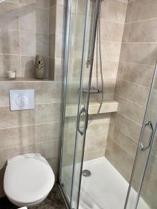 ein Badezimmer mit Toilette und Dusche in der Unterkunft Вілла Бовч in Jaremtsche + 35 Fotos