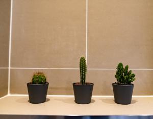 three cactus plants sitting on a shelf in a bathroom at Nitehouse in Reading
