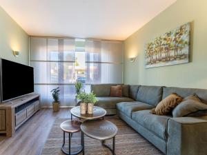 TV a/nebo společenská místnost v ubytování Panorama Sousberg Appartementen