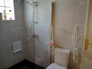a bathroom with a shower with a toilet and a shower at Twin Pines Camino Norte in Arzúa