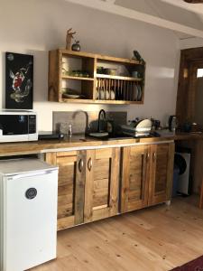 Kuchyň nebo kuchyňský kout v ubytování InkFish Loft + 1 fotografie