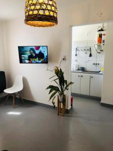 a living room with a potted plant and a kitchen at Espacio Edison 1 in Santa Rosa