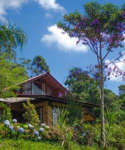 een huis omgeven door bomen en bloemen bij Chalé Pakere Montanha Lumiar - Conforto a mais de 1000 metros de altitude junto a natureza, lareira, wifi, piscina, sauna e água de nascente in Lumiar