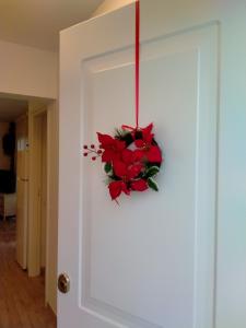 a wreath of red flowers hanging from a door at La Casa De MarcoQ in Costa Calma