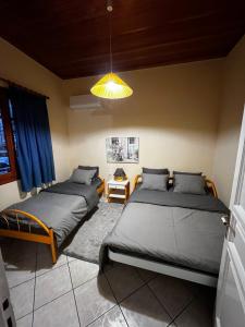 1 dormitorio con 2 camas y lámpara de araña en 4 Seasons Tzoumerka Senses, en Pramanta