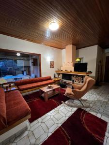 sala de estar con sofá y chimenea en 4 Seasons Tzoumerka Senses, en Pramanta