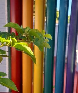 Gallery image of Bed & Bike Hostel in San Lorenzo