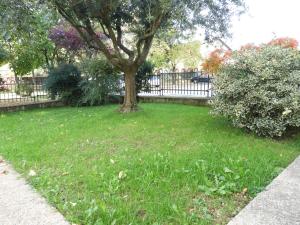 A garden outside Morena Studio Apartment