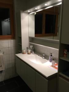uma casa de banho com um lavatório e um espelho em Leimernhof em Thörishaus