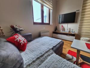 Et tv og/eller underholdning på Apartman Smokvica