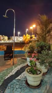 a group of potted plants on a balcony at night at Apartamentos Mar Azul Arinaga in Arinaga