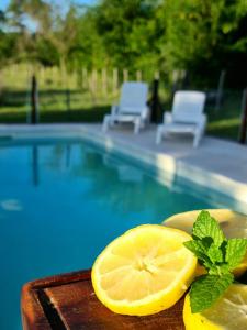 ein Stück Zitrone auf einem Tablett neben einem Pool in der Unterkunft Casa Abierta in Nono