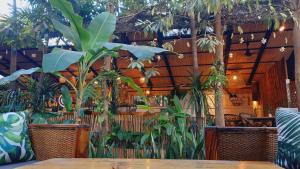 un restaurante con un montón de macetas en Babel Siem Reap Guesthouse, en Siem Reap