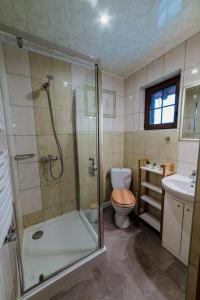Vonios kambarys apgyvendinimo įstaigoje Jurajskie Domki Pod Młyńską Skałą