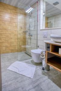 
a bathroom with a toilet, sink, and shower stall at Hotel Nova Riviera in Ohrid
