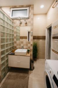 Kúpeľňa v ubytovaní Jacks's Home apartman - free parking