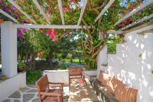 Сад в Golden Beach Studios & Suites