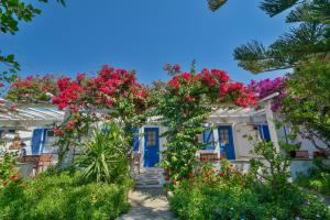 Сад в Golden Beach Studios & Suites