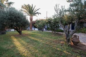 Сад в Golden Beach Studios & Suites