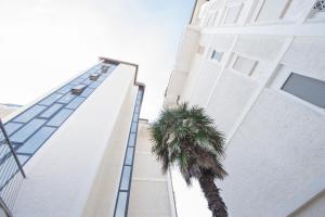 un edificio blanco alto con una palmera al lado en Residence Mexico Immobiliare Pacella, en Lido di Jesolo