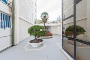 リド・ディ・イエゾロにあるResidence Mexico Immobiliare Pacellaの建物内三鉢の木が立ち並ぶ廊下