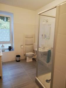 a bathroom with a shower and a toilet and a sink at Jagdschloss Siedlinghausen in Winterberg