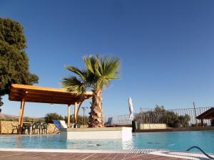 a palm tree sitting next to a swimming pool at Agriturismo Valle di Chiaramonte in Chiaramonte Gulfi