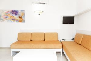 een woonkamer met twee bruine banken en een tv bij Aparthotel FLORA PARK & AQUAROCK in Cala'n Bosch