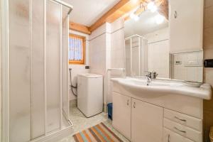 a bathroom with a sink and a shower at Charming Tabià in Rocca Pietore