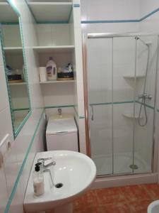 a bathroom with a shower and a sink and a toilet at Apartamento Cerca de la Playa con wifi in San José