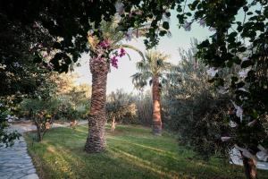 Сад в Golden Beach Studios & Suites