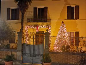 a christmas tree in front of a yellow house at 44 - Mu Ni in Amelia