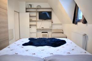 1 dormitorio pequeño con 1 cama y TV en Maison de 4 chambres avec terrasse et wifi a Arques la Bataille, en Arques-la-Bataille