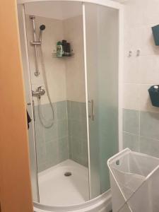 um chuveiro com uma porta de vidro na casa de banho em Apartman BibKa em Donovaly