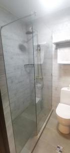 a glass shower stall in a bathroom with a toilet at Rahat Hotel in Arkhyz