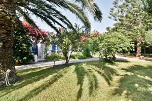 Сад в Golden Beach Studios & Suites