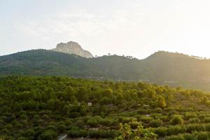 Príroda v okolí of the country house