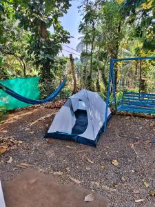 Gambar di galeri bagi Wayanad Days di Mananthavady