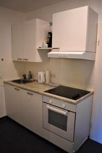 La cuisine est équipée de placards blancs et d'un four avec plaques de cuisson. dans l'établissement Altstadtblick, à Heidelberg