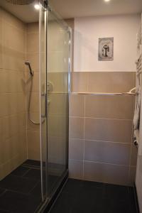 een douche met een glazen deur in de badkamer bij Altstadtblick in Heidelberg