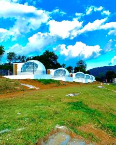 a field with two domes on top of a building at ข้างเขาแคมป์ Khangkhao Camp in Ban Yang Khun Wang