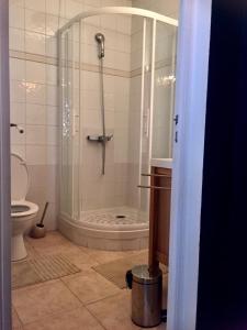 a bathroom with a shower and a toilet at Villa Yollande in Arcachon