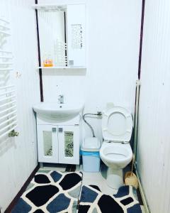 a bathroom with a toilet and a sink at У Віти котедж 1 in Synevyrsʼka Polyana