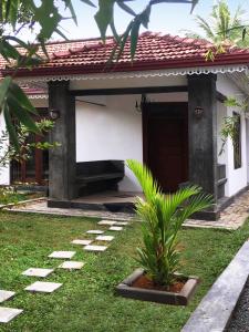 a garden in front of a house with a plant at Triple Edge Villa in Unawatuna
