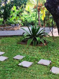 a garden with stepping stones in the grass at Triple Edge Villa in Unawatuna