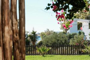 Сад в Golden Beach Studios & Suites